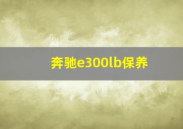 奔驰e300lb保养