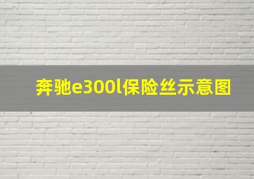 奔驰e300l保险丝示意图