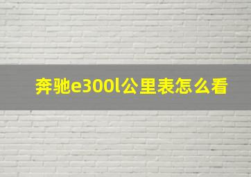 奔驰e300l公里表怎么看