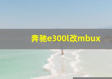 奔驰e300l改mbux