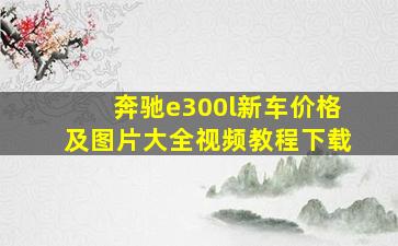 奔驰e300l新车价格及图片大全视频教程下载