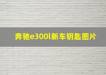 奔驰e300l新车钥匙图片