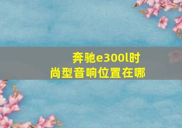 奔驰e300l时尚型音响位置在哪