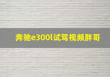 奔驰e300l试驾视频胖哥