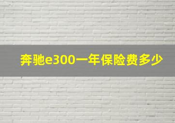 奔驰e300一年保险费多少