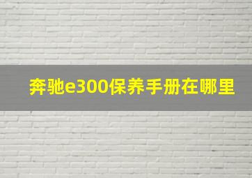 奔驰e300保养手册在哪里