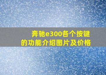 奔驰e300各个按键的功能介绍图片及价格