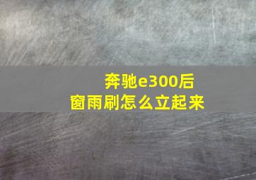 奔驰e300后窗雨刷怎么立起来