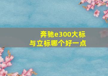 奔驰e300大标与立标哪个好一点