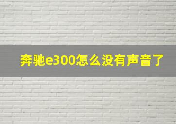 奔驰e300怎么没有声音了