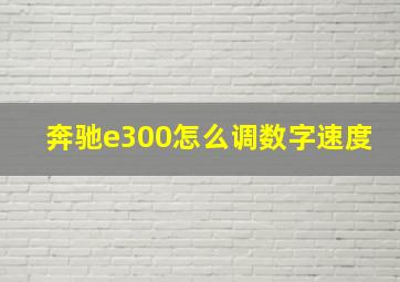 奔驰e300怎么调数字速度