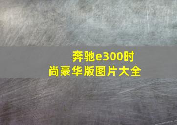 奔驰e300时尚豪华版图片大全