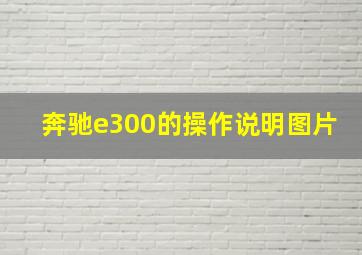 奔驰e300的操作说明图片