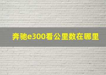 奔驰e300看公里数在哪里