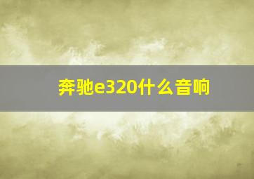 奔驰e320什么音响