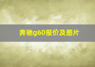 奔驰g60报价及图片