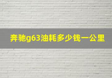 奔驰g63油耗多少钱一公里