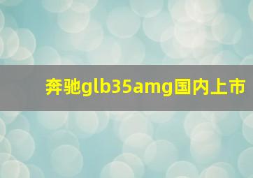 奔驰glb35amg国内上市