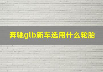 奔驰glb新车选用什么轮胎