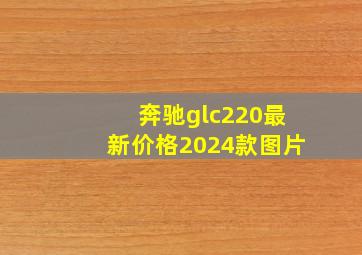 奔驰glc220最新价格2024款图片