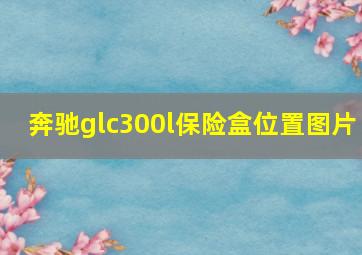 奔驰glc300l保险盒位置图片