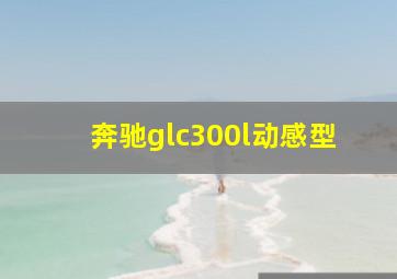 奔驰glc300l动感型