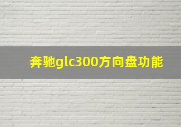 奔驰glc300方向盘功能