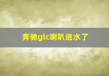 奔驰glc喇叭进水了