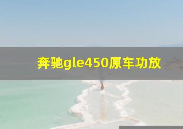 奔驰gle450原车功放