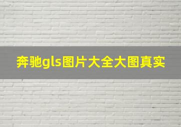 奔驰gls图片大全大图真实