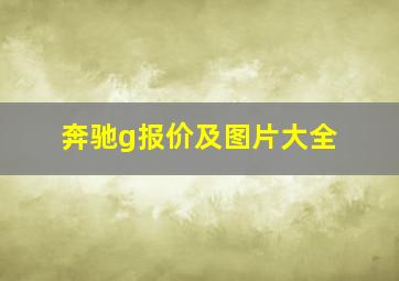 奔驰g报价及图片大全