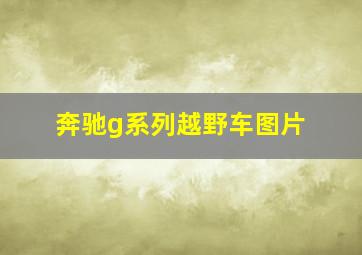 奔驰g系列越野车图片