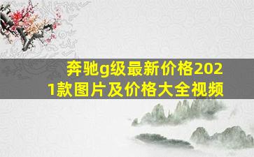 奔驰g级最新价格2021款图片及价格大全视频