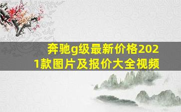 奔驰g级最新价格2021款图片及报价大全视频