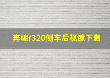 奔驰r320倒车后视镜下翻