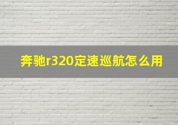 奔驰r320定速巡航怎么用