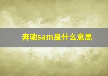 奔驰sam是什么意思