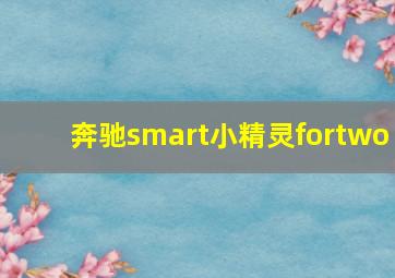 奔驰smart小精灵fortwo