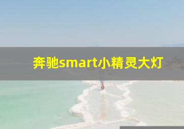 奔驰smart小精灵大灯