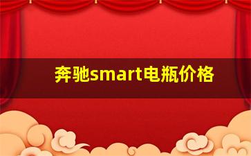 奔驰smart电瓶价格