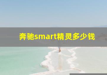 奔驰smart精灵多少钱