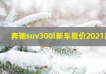 奔驰suv300l新车报价2021款