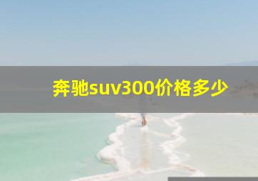 奔驰suv300价格多少