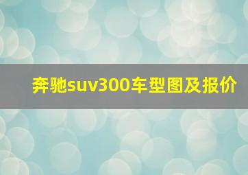 奔驰suv300车型图及报价