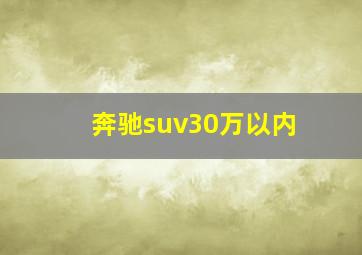 奔驰suv30万以内