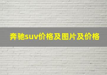 奔驰suv价格及图片及价格