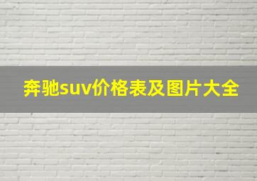 奔驰suv价格表及图片大全