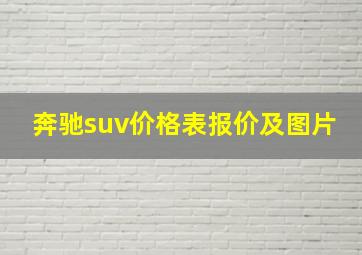 奔驰suv价格表报价及图片