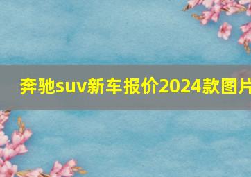 奔驰suv新车报价2024款图片