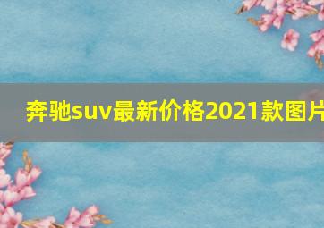 奔驰suv最新价格2021款图片